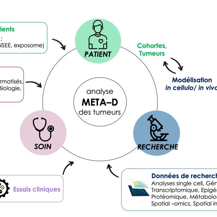 [ National Cancer Week] Focus on the objectives of the CARPEM3 project