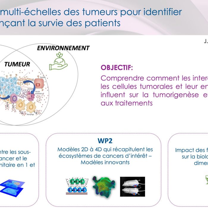 [ National Cancer Week] Focus on the 1st integrated research program