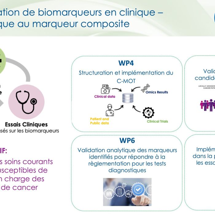 [ National Cancer Week] Focus on the 2nd integrated research program